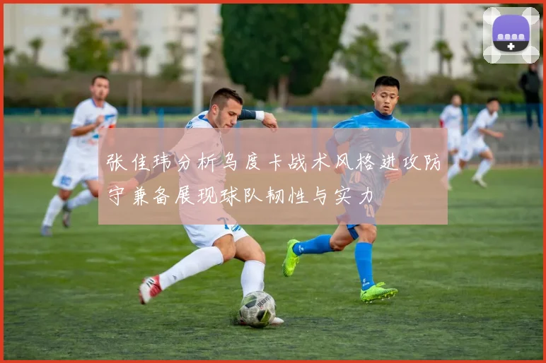 张佳玮分析乌度卡战术风格进攻防守兼备展现球队韧性与实力