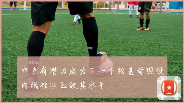申京有潜力成为下一个约基奇现役内线难以匹敌其水平