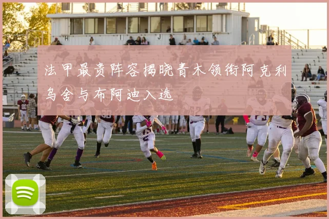 法甲最贵阵容揭晓青木领衔阿克利乌舍与布阿迪入选